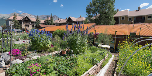 Community Garden